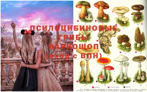 молекула духа Алзамай