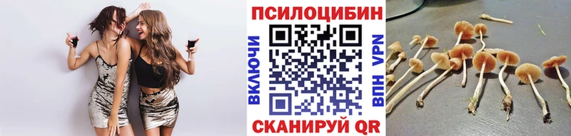 Галлюциногенные грибы Psilocybine cubensis купить наркотик Никольск