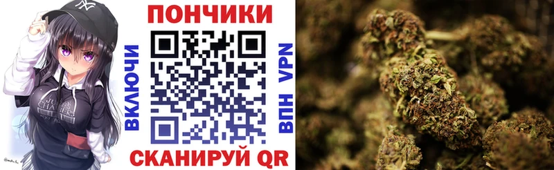 Бошки Шишки гибрид  Никольск 